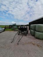 Marathonwagen gezocht, Dieren en Toebehoren