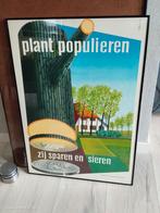Originele poster 'Plant Populieren' - Staatsbosbeheer, Verzamelen, Rechthoekig Staand, Ophalen of Verzenden, Zo goed als nieuw