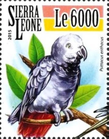 2015 Sierra Leone Fauna Vogels Papegaaien