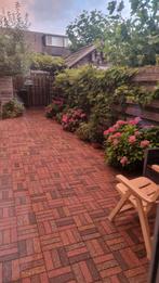 Gratis tuintegels, Tuin en Terras, Tegels en Klinkers, Ophalen of Verzenden, Gebruikt, Beton, Klinkers