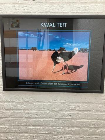 Schilderij kwaliteit struisvogel en met spreuk  beschikbaar voor biedingen