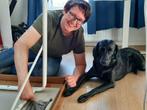 Honden gedragstherapeut / Honden trainer (Door het hele land, Training of Cursus
