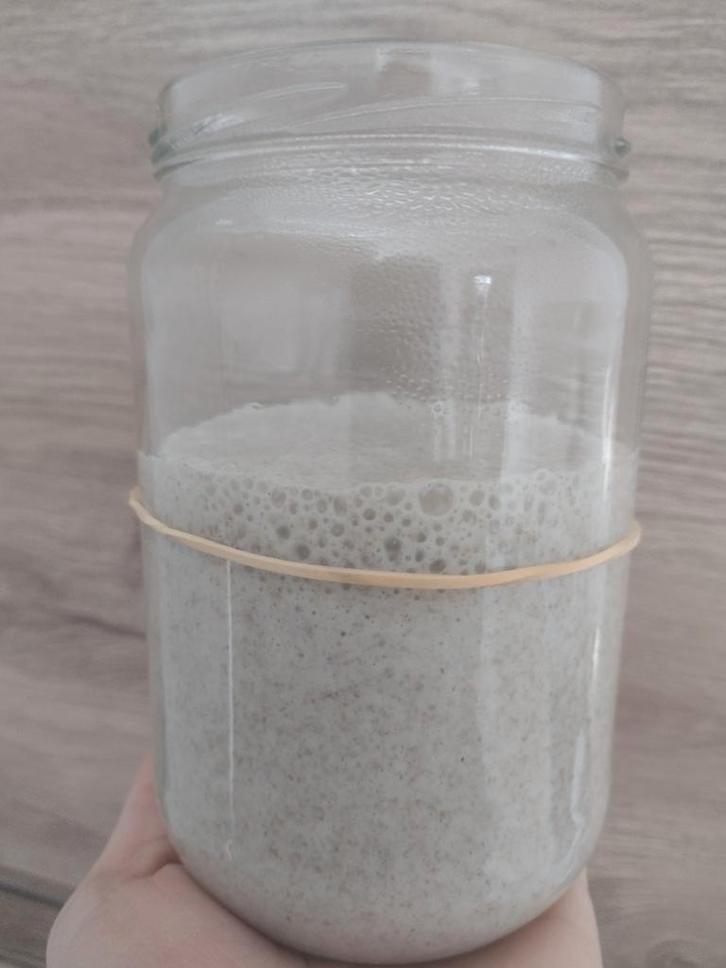 Biologische Rogge Zuurdesem Starter, Hobby en Vrije tijd, Knutselen, Nieuw, Ophalen of Verzenden