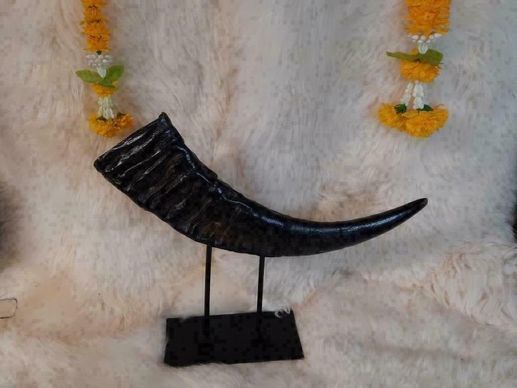 Prachtige Waterbuffel Hoorn op Luxe Stalen Voet, Huis en Inrichting, Woonaccessoires | Overige, Ophalen of Verzenden