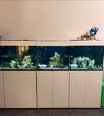 3x juwel lido 120 liter aquaria leeg, Dieren en Toebehoren, Vissen | Aquaria en Toebehoren, Ophalen, Leeg aquarium