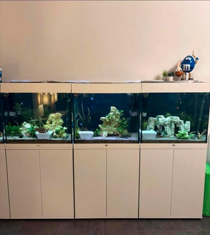 3x juwel lido 120 liter aquaria leeg, Dieren en Toebehoren, Vissen | Aquaria en Toebehoren, Leeg aquarium, Ophalen