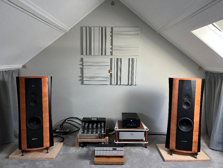 jadis PA100 Klasse AB 150 Synergistic Research Pink Furutech, Audio, Tv en Foto, Buizenversterkers, Buis of Buizen, Ophalen