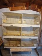Mooi vogelkooien, Ophalen, Zo goed als nieuw, Hout, Broedkooi of Kweekkooi