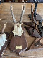 LOT OUDE GEWEITJES, Ophalen of Verzenden, Gebruikt, Beeldje of Figuurtje