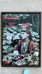 Ingelijste Foam tentoonstellingen poster primrose, Ophalen, Met lijst, A1 t/m A3, Overige onderwerpen