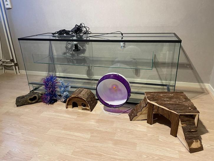 Terrarium - groot formaat (L150xB50xH60), Dieren en Toebehoren, Reptielen en Amfibieën | Toebehoren, Zo goed als nieuw, Ophalen