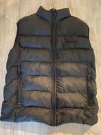 Malelions heren body warmer M, Kleding | Heren, Ophalen of Verzenden, Zo goed als nieuw, Zwart