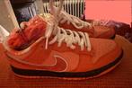 Nike SB Dunk Low Orange Lobster 40.5 (7.5 UK) Nieuw, Kleding | Dames, Ophalen of Verzenden, Zo goed als nieuw, Overige kleuren
