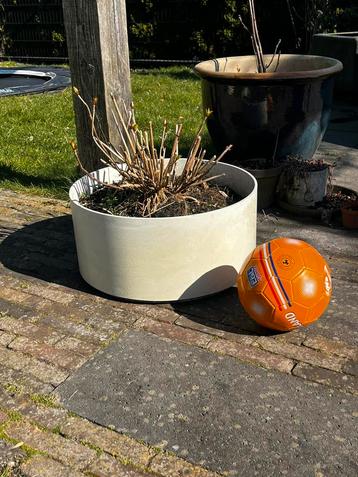 Witte ronde bloembakken beschikbaar voor biedingen