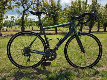Volledig carbon Bianchi Intrepida racefiets in goede staat beschikbaar voor biedingen