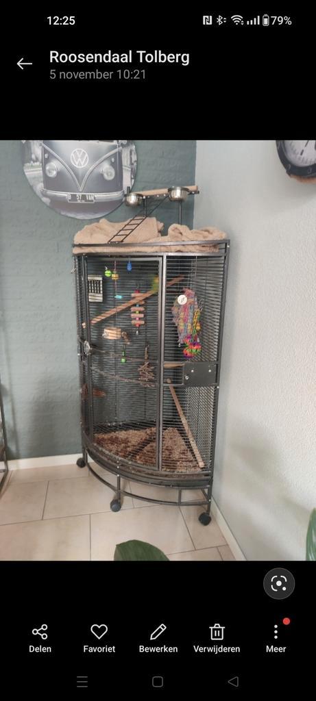 2 agapornisen lovebirds met kooi incl toebehoren, Dieren en Toebehoren, Vogels | Parkieten en Papegaaien, Papegaai, Geslacht onbekend