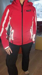Icepeak skipak - Maat L, Kleding | Dames, Wintersportkleding, Ophalen, Icepeak, Maat 42/44 (L), Zo goed als nieuw