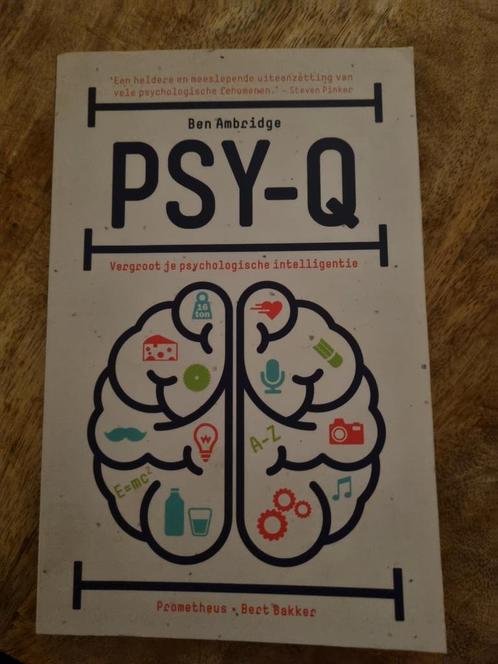 Ben Ambridge - Psy-Q, Boeken, Psychologie, Zo goed als nieuw, Ophalen of Verzenden