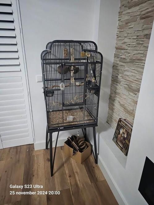 Vogels kooi te koop, Dieren en Toebehoren, Vogels | Hokken en Kooien, Zo goed als nieuw, Vogelkooi, Metaal, Ophalen
