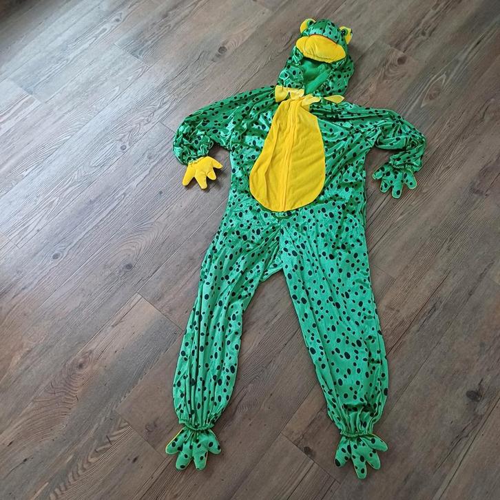 Kikker Verkleedpak Maat 140, Kinderen en Baby's, Carnavalskleding en Verkleedspullen, Gebruikt, Ophalen of Verzenden