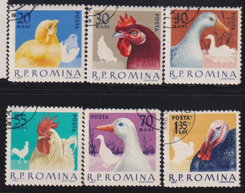 Roemenie 1963 Pluimvee kuiken haan eend kalkoen, Verzenden, Gestempeld, Dier of Natuur