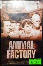 Animal Factory VHS ex-rental, Cd's en Dvd's, VHS | Film, Ophalen of Verzenden, Zo goed als nieuw, Vanaf 16 jaar