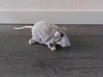 Grote grijze rat knuffel geen label
20 cm zonder staart, Kinderen en Baby's, Speelgoed | Knuffels en Pluche, Ophalen of Verzenden