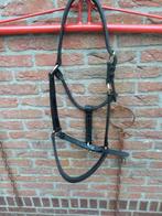 Trekpaarden halster, Dieren en Toebehoren, Paarden en Pony's | Hoofdstellen en Tuigage, Ophalen of Verzenden, Zo goed als nieuw