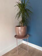 Bloempot en tafeltje in een oudroze kleur, Rond, Zo goed als nieuw, Minder dan 40 cm, Aardewerk