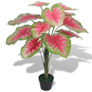 Kunstplant kamerplant caladium 85 cm rood GRATIS BEZORGD! beschikbaar voor biedingen