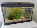 Ferplast Capri 50 aquarium met vissen en toebehoren, Dieren en Toebehoren, Vissen | Aquaria en Toebehoren, Ophalen, Gebruikt, Gevuld zoetwateraquarium