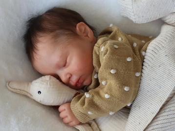 Reborn baby pop Luciano *orgineel en nieuw* beschikbaar voor biedingen