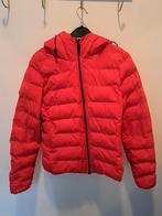 Dames winterjas outdoor maat M / EU 40 merk Superdry, Kleding | Dames, Jassen | Winter, Maat 38/40 (M), Superdry, Ophalen of Verzenden