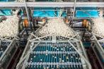 Mushroom sorting machine DEMO !, Glastuinbouw, Oogstmachine