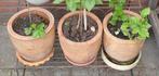 3 Terracotta / aardewerk bloempotten plantenpotten, Ophalen, Steen, Gebruikt, Minder dan 30 cm