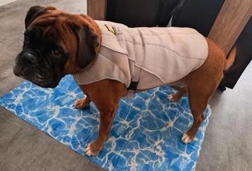 Ruffwear honden koeljas maat M beschikbaar voor biedingen