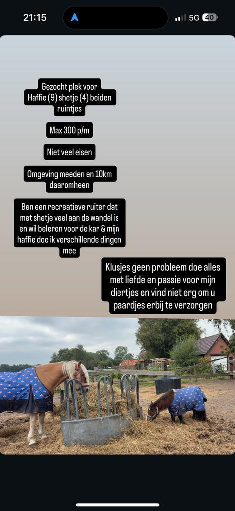 Gezocht: stal / plek / weide voor 2 koudbloeden, Dieren en Toebehoren, Stalling en Weidegang, Stalling, Weidegang, 2 of 3 paarden of pony's