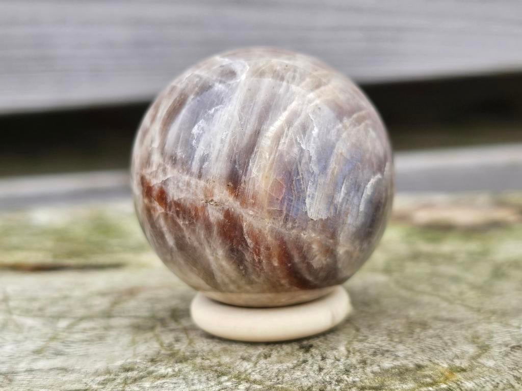 Mooie belomoriet bol 42 mm, Ophalen of Verzenden