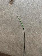 Wit vis hengel met molen, Ophalen of Verzenden, Nieuw, Molen