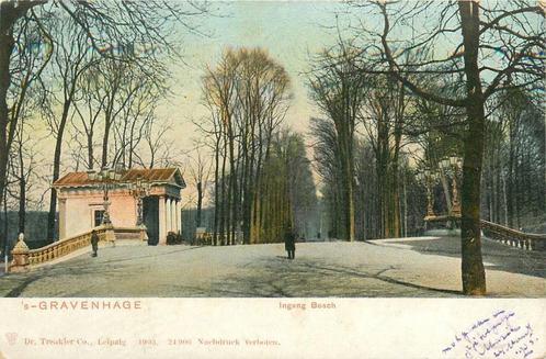 (701-238-001) Den Haag Ingang Bosch, Verzamelen, Ansichtkaarten | Nederland, Zuid-Holland, Verzenden