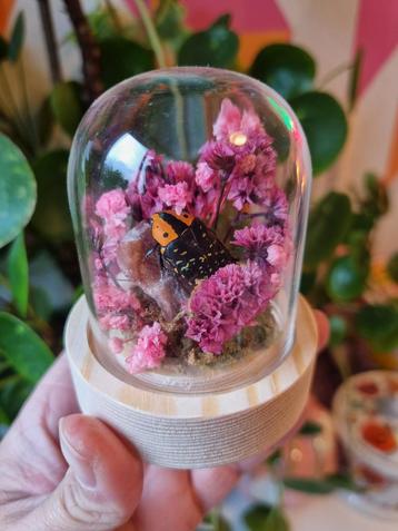 Insect in Stolpje met Agaat & Droogbloemen beschikbaar voor biedingen