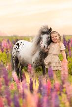 Prachtige Appaloosa merrie, Dieren en Toebehoren, Pony's, Merrie, A pony (tot 1.17m), Onbeleerd, 11 jaar of ouder