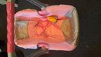 Baby born maxi cosi, Kinderen en Baby's, Ophalen, Zo goed als nieuw, Babypop