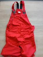 Tuinbroek carnaval, Ophalen of Verzenden, Zo goed als nieuw, 146 t/m 152, Jongen of Meisje