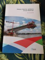 Projectmatig werken in de praktijk, Boeken, Ophalen of Verzenden, Zo goed als nieuw, Overige niveaus