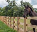 Gezocht loods grote schuur met weiland, Dieren en Toebehoren