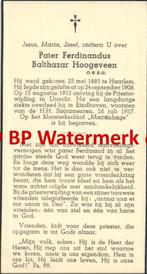 Hoogeveen Balthazar 1885 Haarlem 1957 Eindhoven pater Ferdin, Verzamelen, Bidprentjes en Rouwkaarten, Bidprentje, Ophalen of Verzenden