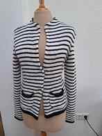 Vest, Purdey, mt. S (nieuw), Kleding | Dames, Truien en Vesten, Blauw, Nieuw, Ophalen of Verzenden, Purdey