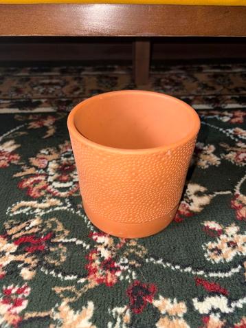 Leuke Bloempot - 10.5cm beschikbaar voor biedingen