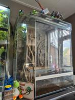 Terrarium 120x120x60, Ophalen, Gebruikt, Terrarium of Paludarium
